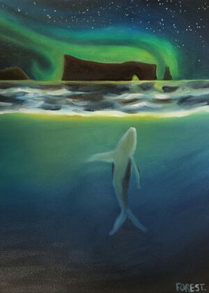 Le songe de la baleine - Diane Forest